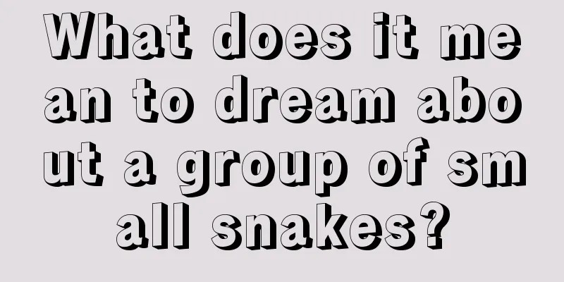 What does it mean to dream about a group of small snakes?