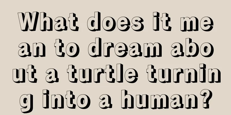 What does it mean to dream about a turtle turning into a human?