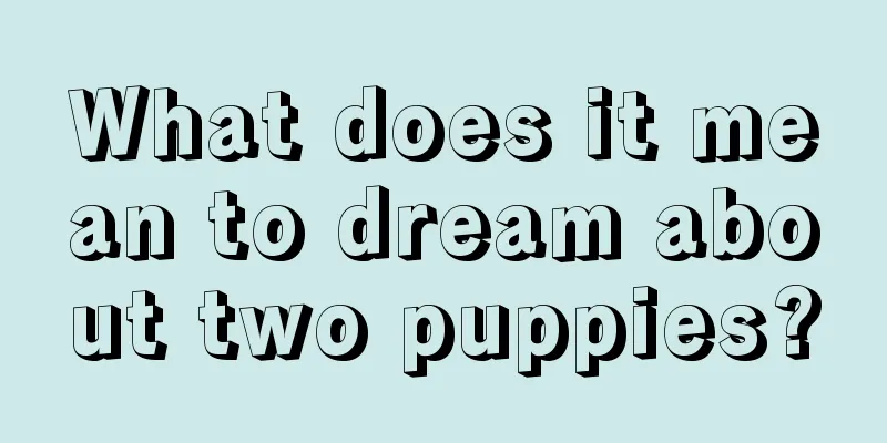 What does it mean to dream about two puppies?