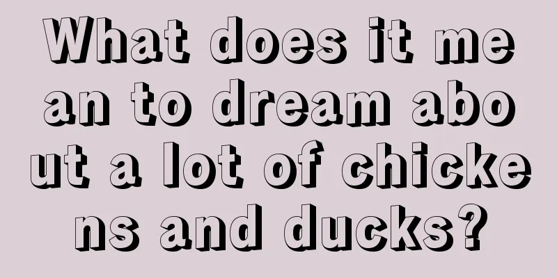 What does it mean to dream about a lot of chickens and ducks?