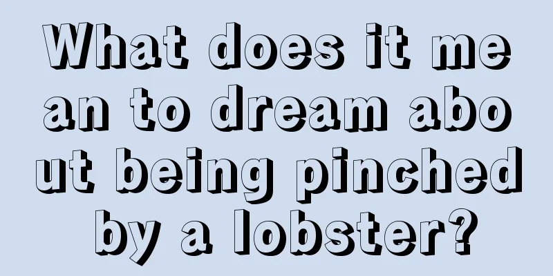 What does it mean to dream about being pinched by a lobster?