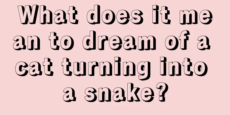 What does it mean to dream of a cat turning into a snake?