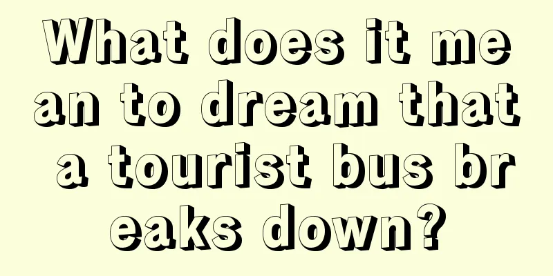 What does it mean to dream that a tourist bus breaks down?