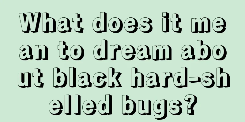 What does it mean to dream about black hard-shelled bugs?