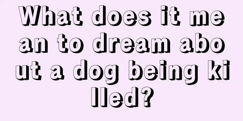 What does it mean to dream about a dog being killed?