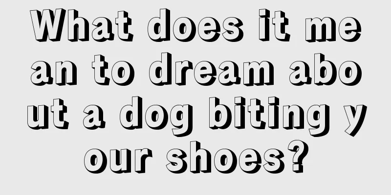 What does it mean to dream about a dog biting your shoes?