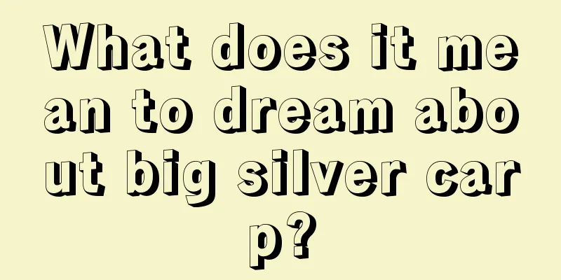 What does it mean to dream about big silver carp?