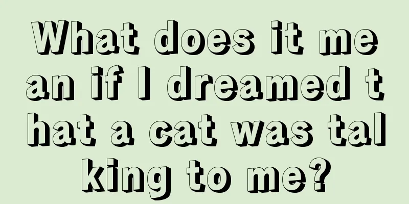 What does it mean if I dreamed that a cat was talking to me?