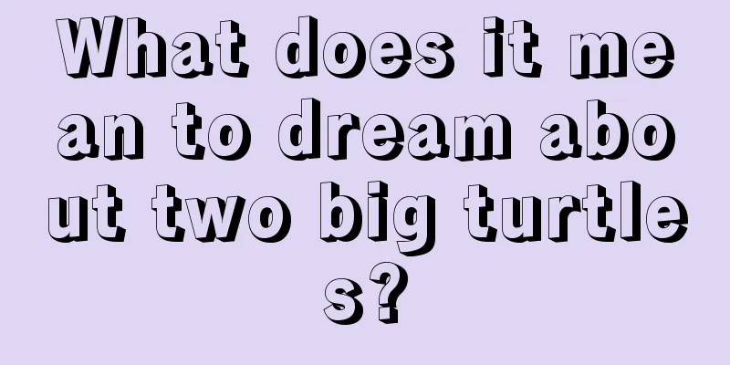 What does it mean to dream about two big turtles?