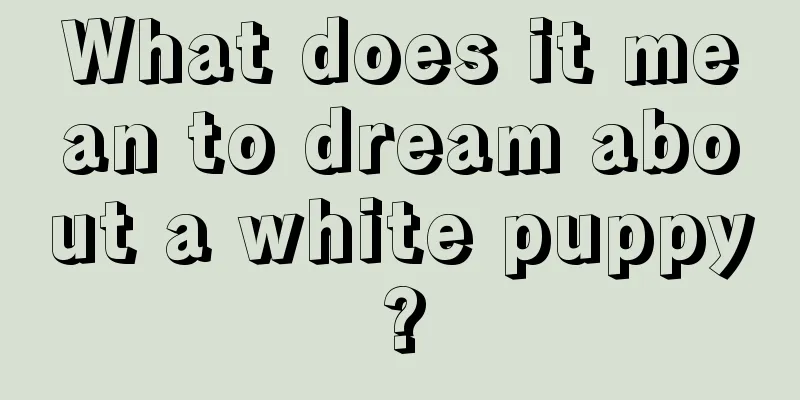 What does it mean to dream about a white puppy?