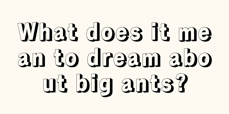 What does it mean to dream about big ants?