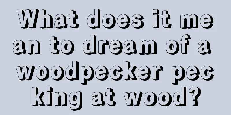 What does it mean to dream of a woodpecker pecking at wood?