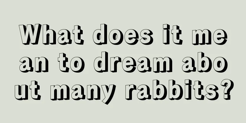 What does it mean to dream about many rabbits?