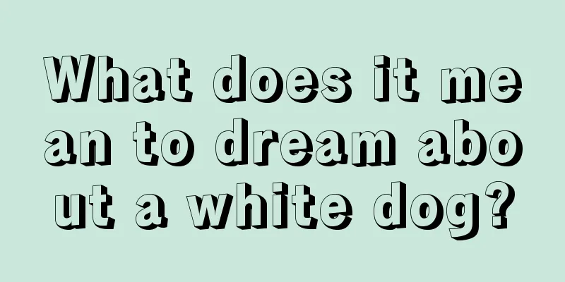 What does it mean to dream about a white dog?