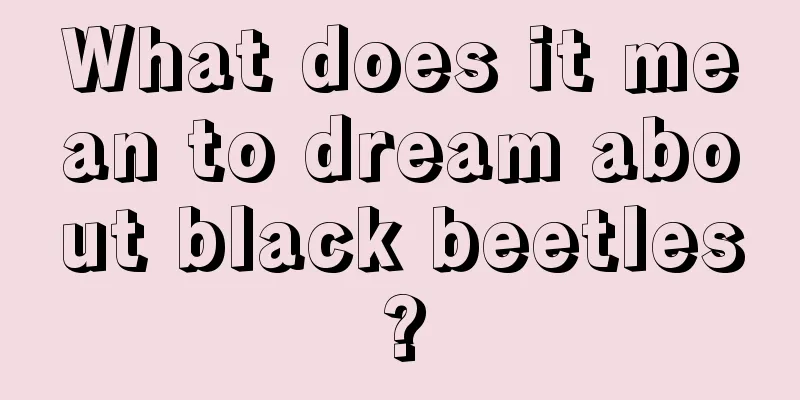 What does it mean to dream about black beetles?