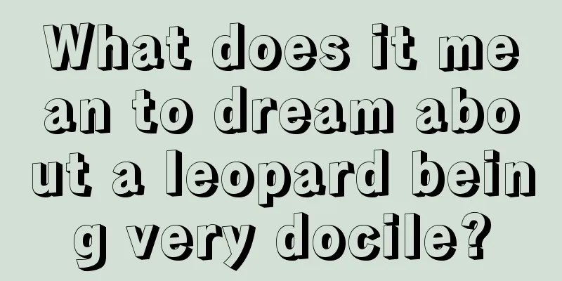 What does it mean to dream about a leopard being very docile?