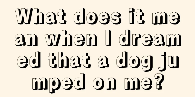 What does it mean when I dreamed that a dog jumped on me?