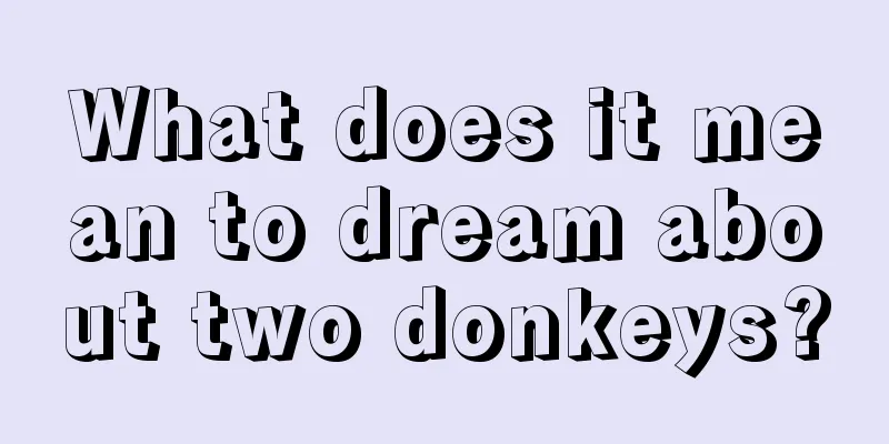 What does it mean to dream about two donkeys?