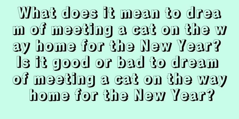 What does it mean to dream of meeting a cat on the way home for the New Year? Is it good or bad to dream of meeting a cat on the way home for the New Year?