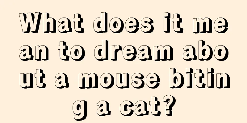 What does it mean to dream about a mouse biting a cat?