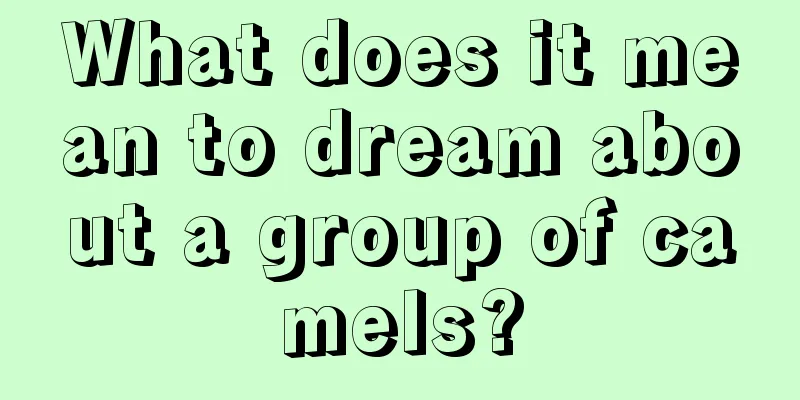 What does it mean to dream about a group of camels?