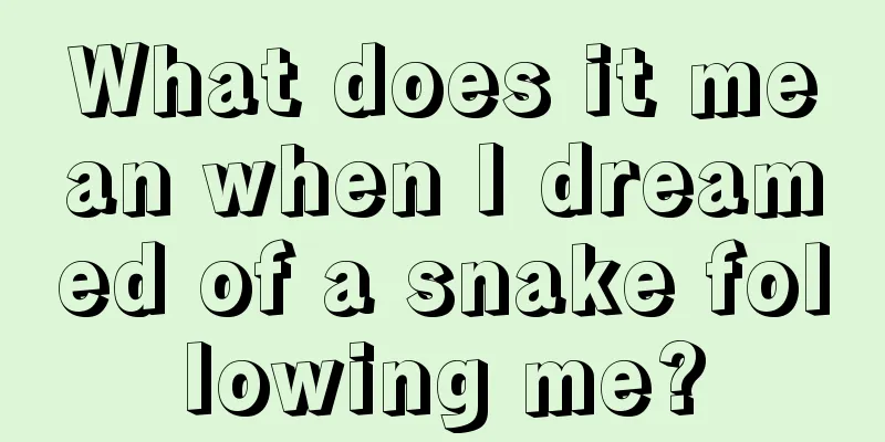 What does it mean when I dreamed of a snake following me?