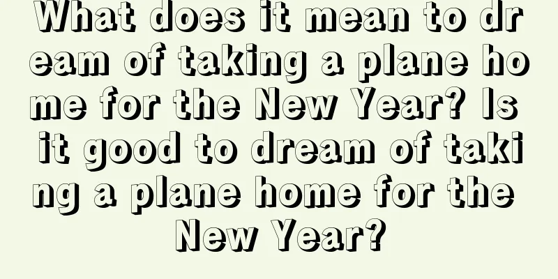 What does it mean to dream of taking a plane home for the New Year? Is it good to dream of taking a plane home for the New Year?