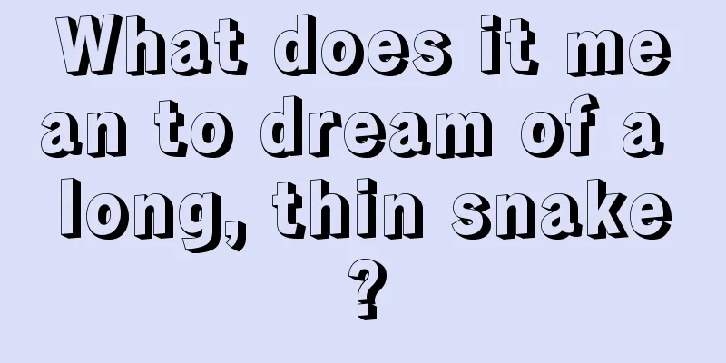 What does it mean to dream of a long, thin snake?