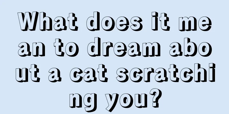 What does it mean to dream about a cat scratching you?