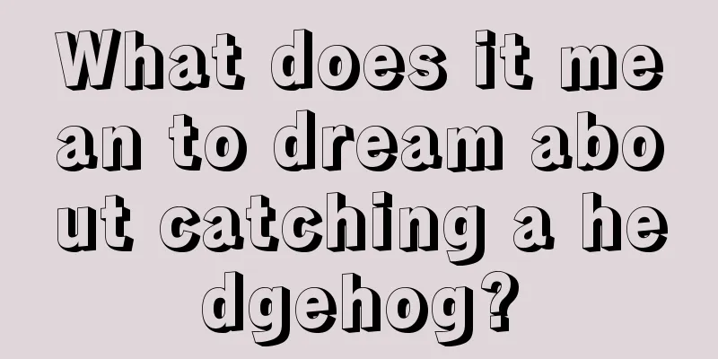 What does it mean to dream about catching a hedgehog?