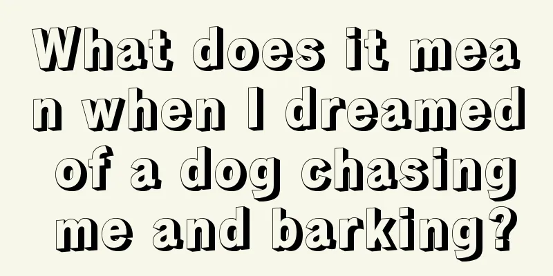 What does it mean when I dreamed of a dog chasing me and barking?