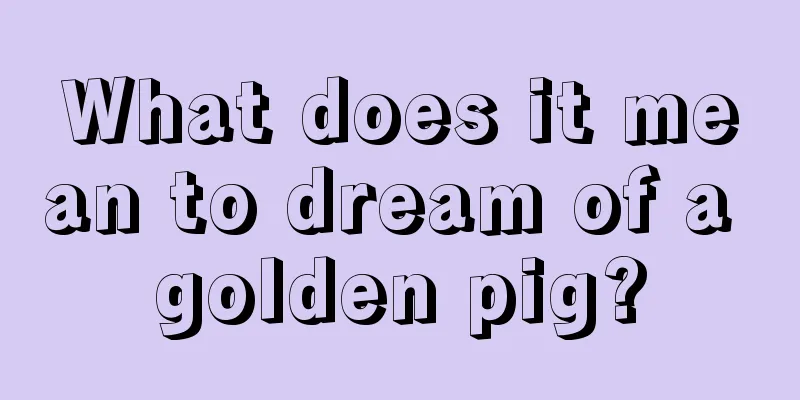 What does it mean to dream of a golden pig?