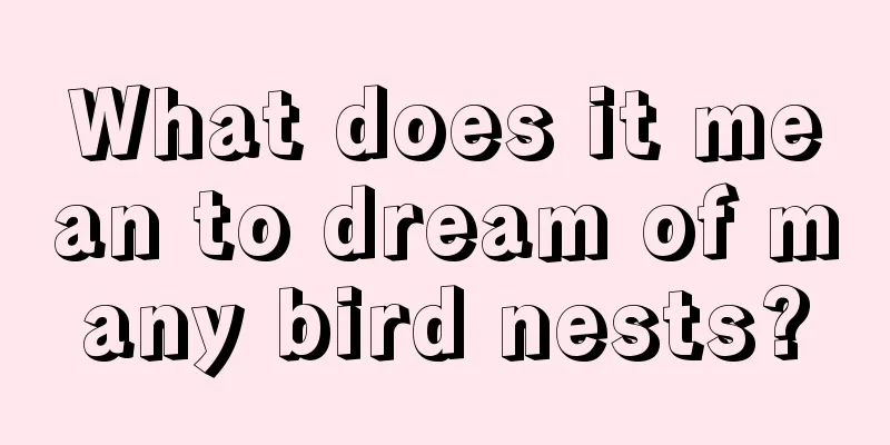 What does it mean to dream of many bird nests?