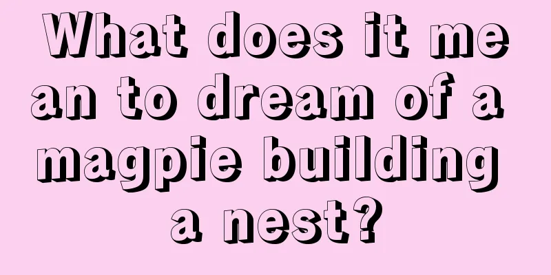 What does it mean to dream of a magpie building a nest?