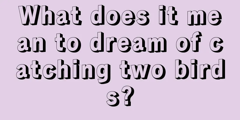 What does it mean to dream of catching two birds?