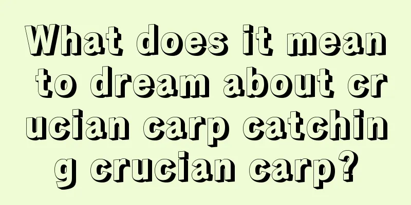 What does it mean to dream about crucian carp catching crucian carp?