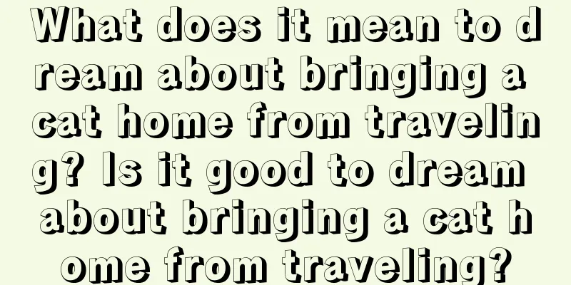 What does it mean to dream about bringing a cat home from traveling? Is it good to dream about bringing a cat home from traveling?