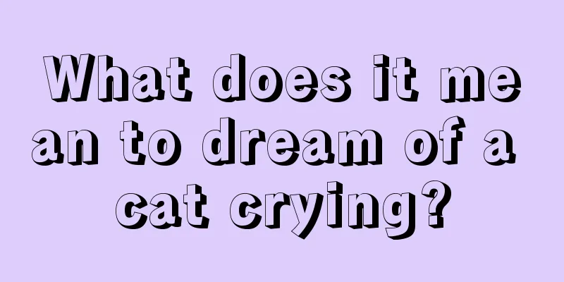 What does it mean to dream of a cat crying?