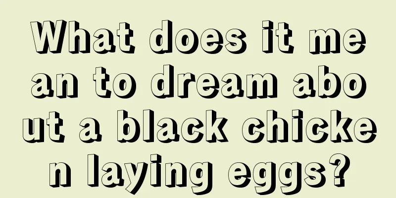 What does it mean to dream about a black chicken laying eggs?