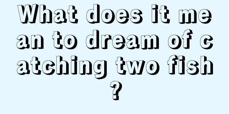 What does it mean to dream of catching two fish?