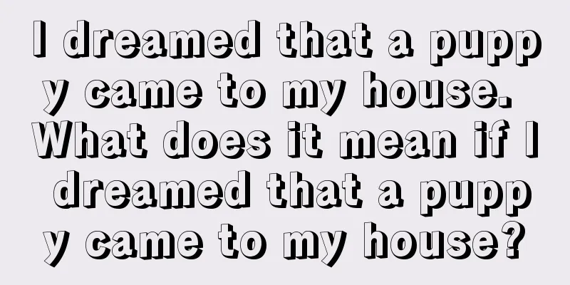 I dreamed that a puppy came to my house. What does it mean if I dreamed that a puppy came to my house?