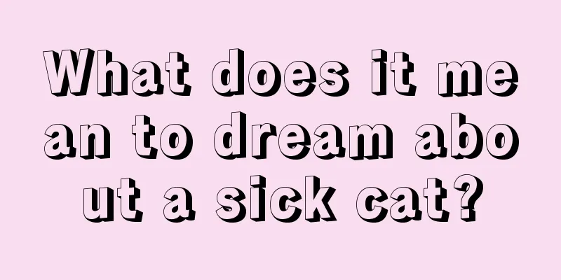 What does it mean to dream about a sick cat?