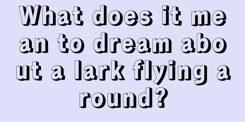 What does it mean to dream about a lark flying around?