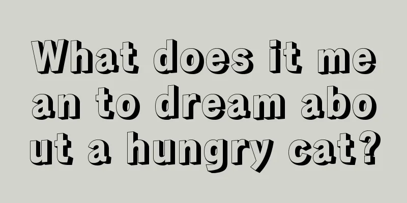 What does it mean to dream about a hungry cat?