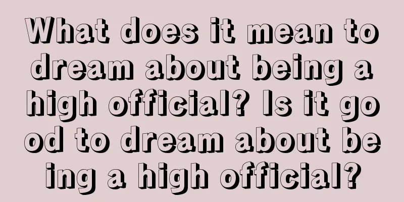 What does it mean to dream about being a high official? Is it good to dream about being a high official?