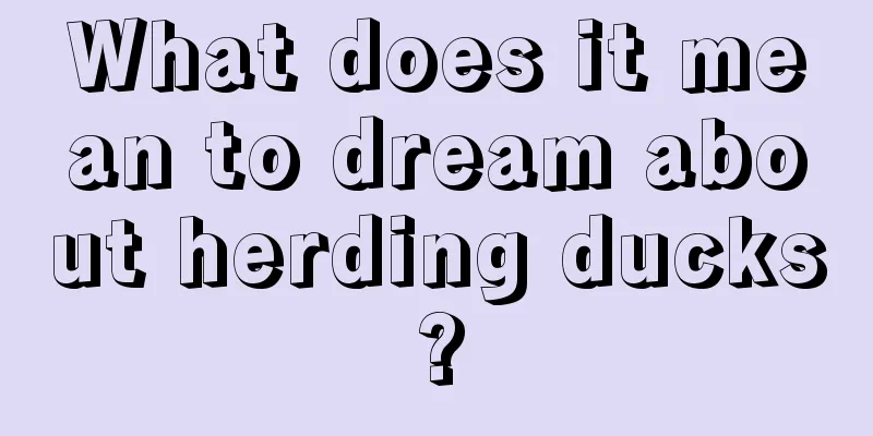 What does it mean to dream about herding ducks?