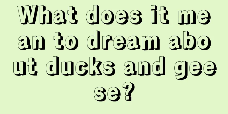 What does it mean to dream about ducks and geese?