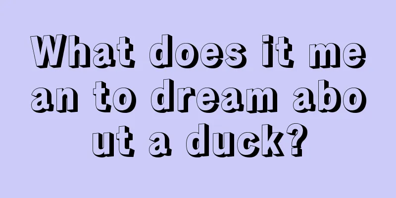 What does it mean to dream about a duck?