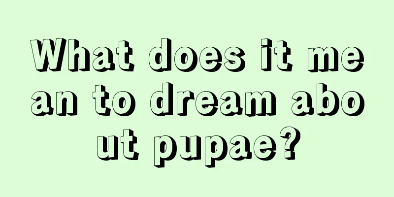 What does it mean to dream about pupae?