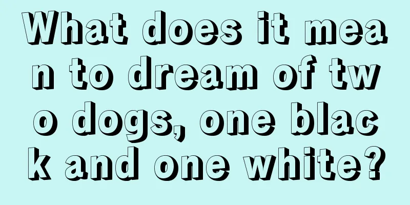 What does it mean to dream of two dogs, one black and one white?